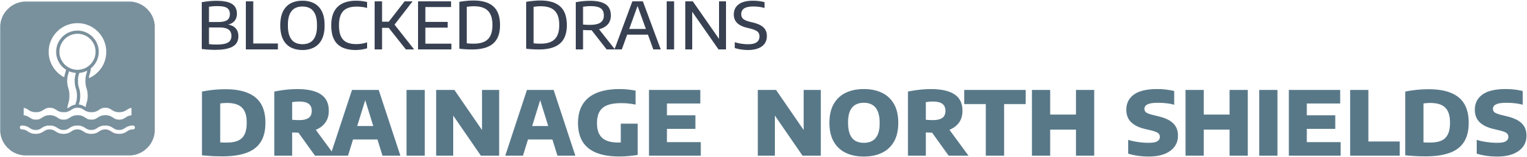 website logo